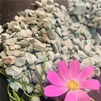 邢台水产养殖用沸石滤料  矿山直供