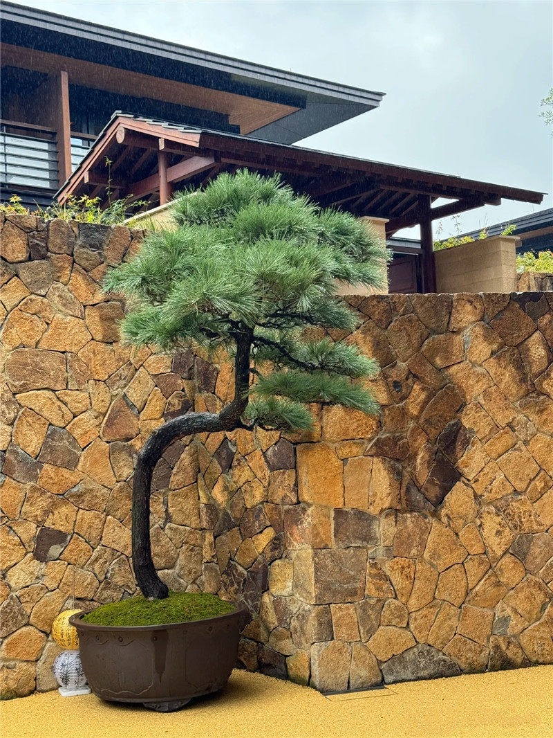 地面铺装 平毛石文化石地砖 黄色板岩碎拼石 虎皮锈花岗岩