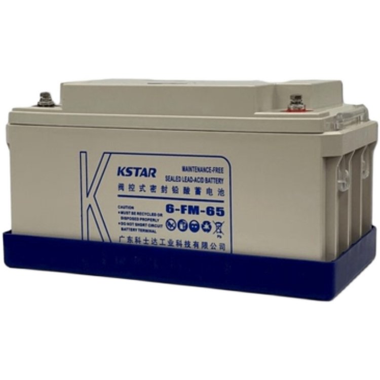 科士达蓄电池6-FM-65 阀控式铅酸12V65AH直流屏 UPS/EPS