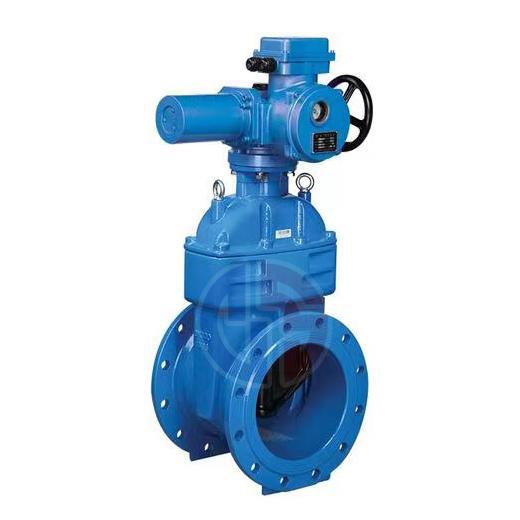 电动闸阀