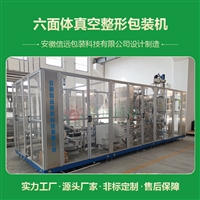 云南咖啡粉六面体整形真空包装机