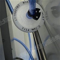 6720-5002思拓凡沃特曼 孔径0.2um  PTFE在线盘式滤器