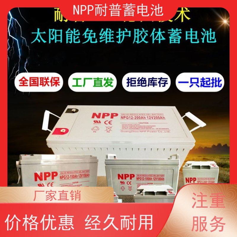 UPS电源电池 NPG12-24  铅酸胶体阀控式 安装维修维护