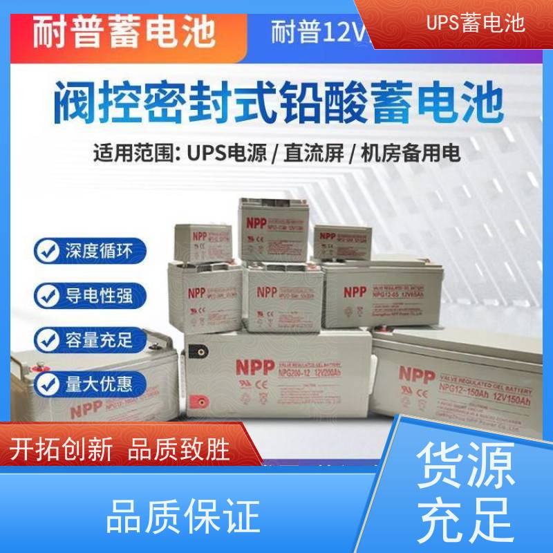 机房UPS电池 NPG12-100  铅酸胶体阀控式 华南区代理 