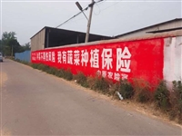 遂宁墙体广告策划遂宁挂喷绘布墙体广告,四川彩绘墙画