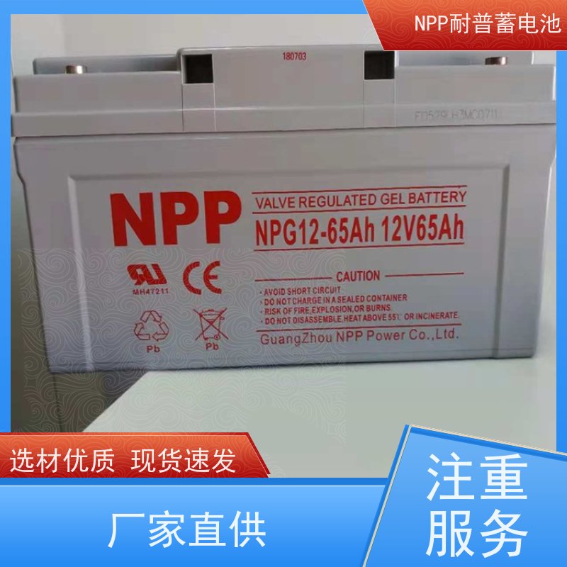 耐普蓄电池 NPG12-24  铅酸胶体阀控式 华南区代理 