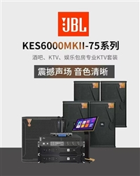 JBL KES 6120 MKII-75 音响 12寸音箱 KTV卡拉OK舞台歌厅会议室