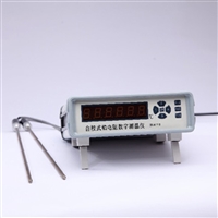 自校式 铂电阻数字测温仪双通道 型号:WT244-RCY-301D