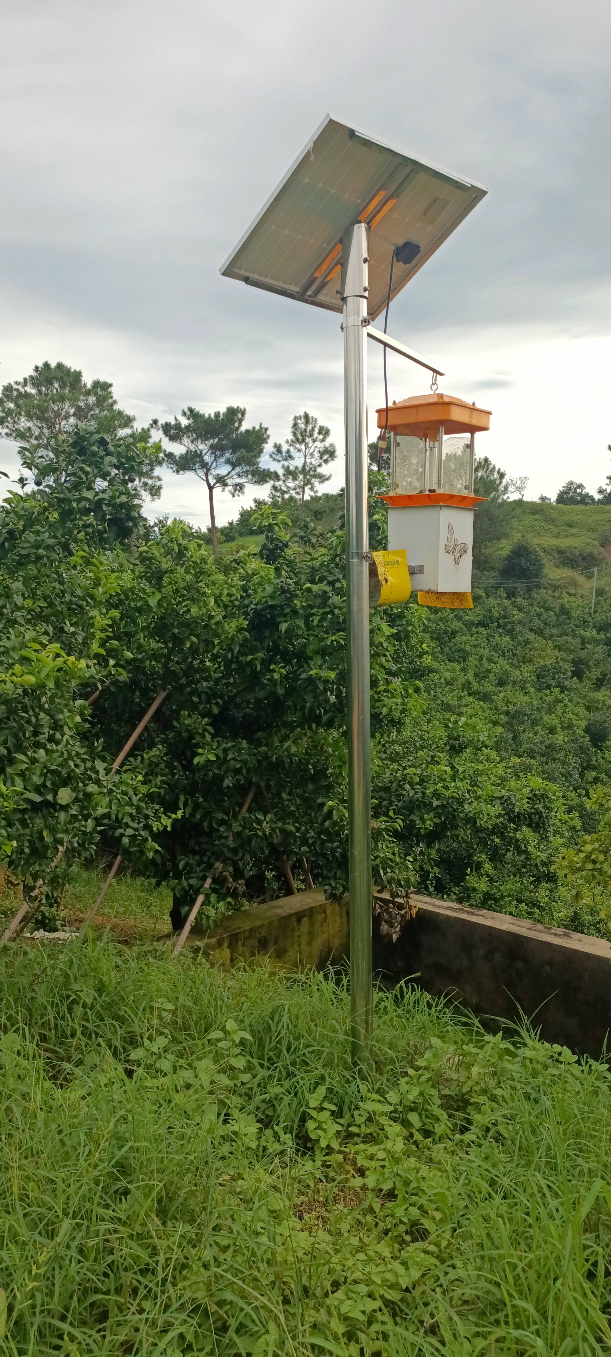 风吸式太阳能杀虫灯