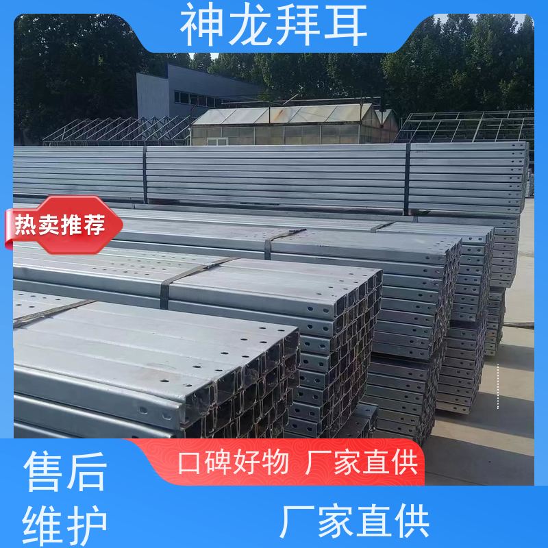 河北神龙拜耳 太阳能光伏支架成型机 智能 厂家