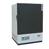 电热鼓风恒温干燥箱 型号:WT210-GM/101-3EBN