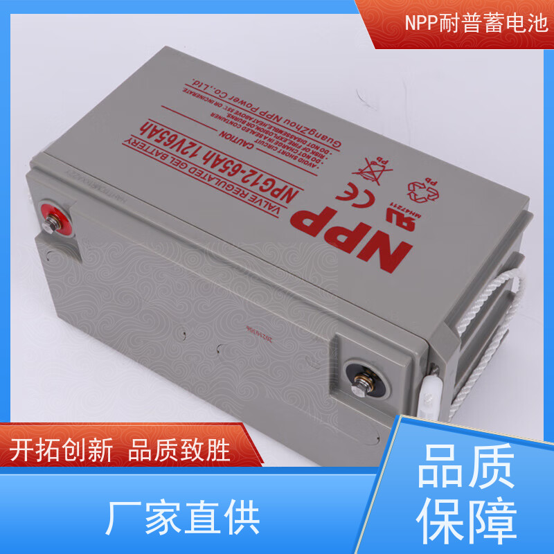 UPS电源电池 NPG12-24  适用EPS ups电源 性能稳定