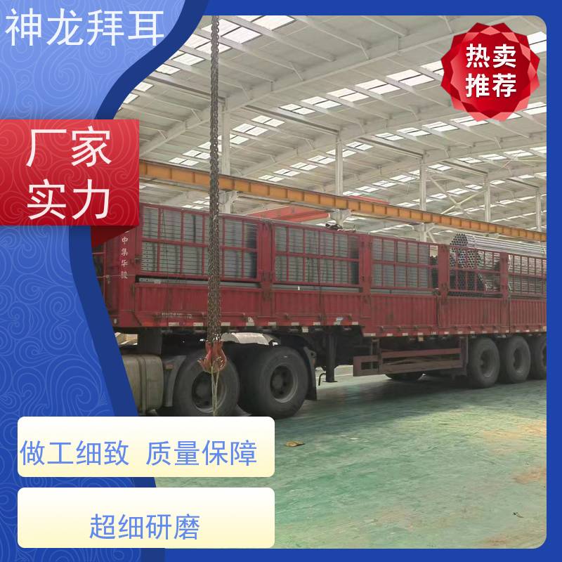 河北神龙拜耳 太阳能光伏支架成型机 环保 生产厂家
