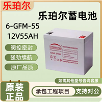 LOTPOWER乐珀尔蓄电池6-GFM-55 阀控式免维护12V55AH太阳能电池