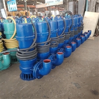 WQB隔爆型潜污水电泵