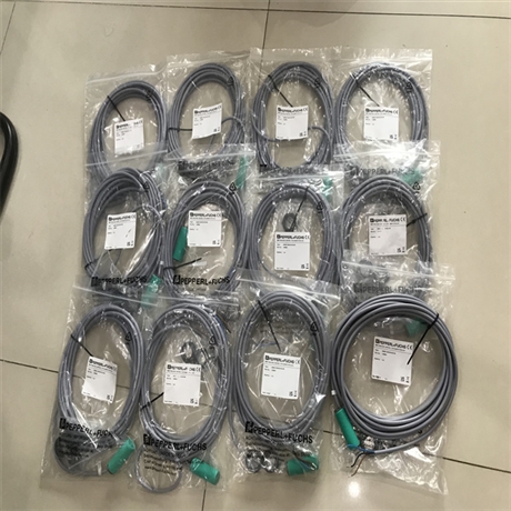 P+F旋转编码器RHI90N-0HAK1R61N-01024 