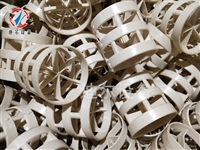 山东某化工集团定制50型号PPS鲍尔环填料共计180立方用于国家项目