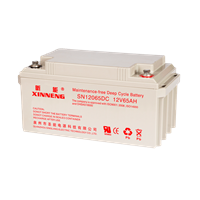 泉州昕能蓄电池SN12055 12V55AH铅酸免维护蓄电池 风电变桨配套