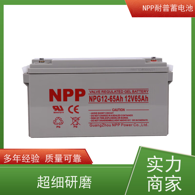 机房UPS电池 12V65AH 铅酸胶体阀控式 稳压应急备用