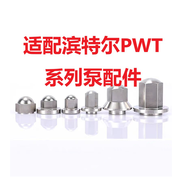 pentair滨特尔 泵体 PWT150-125-315S 高压泵 加工精密-24小时服务
