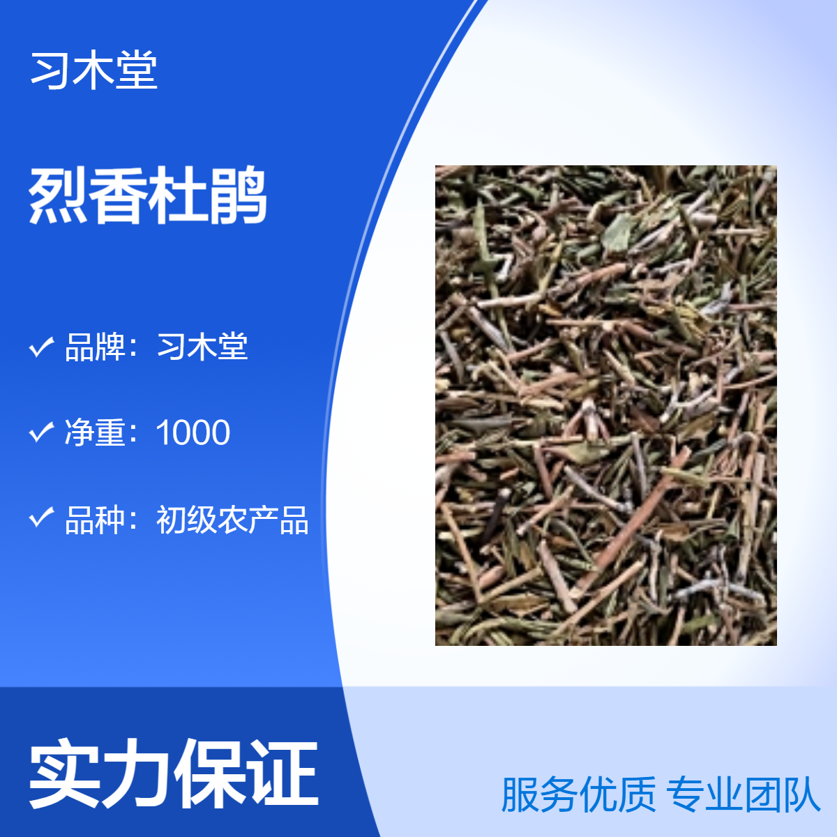 烈香杜鹃 白香柴 小叶枇杷 当年新货 无硫 品质正宗