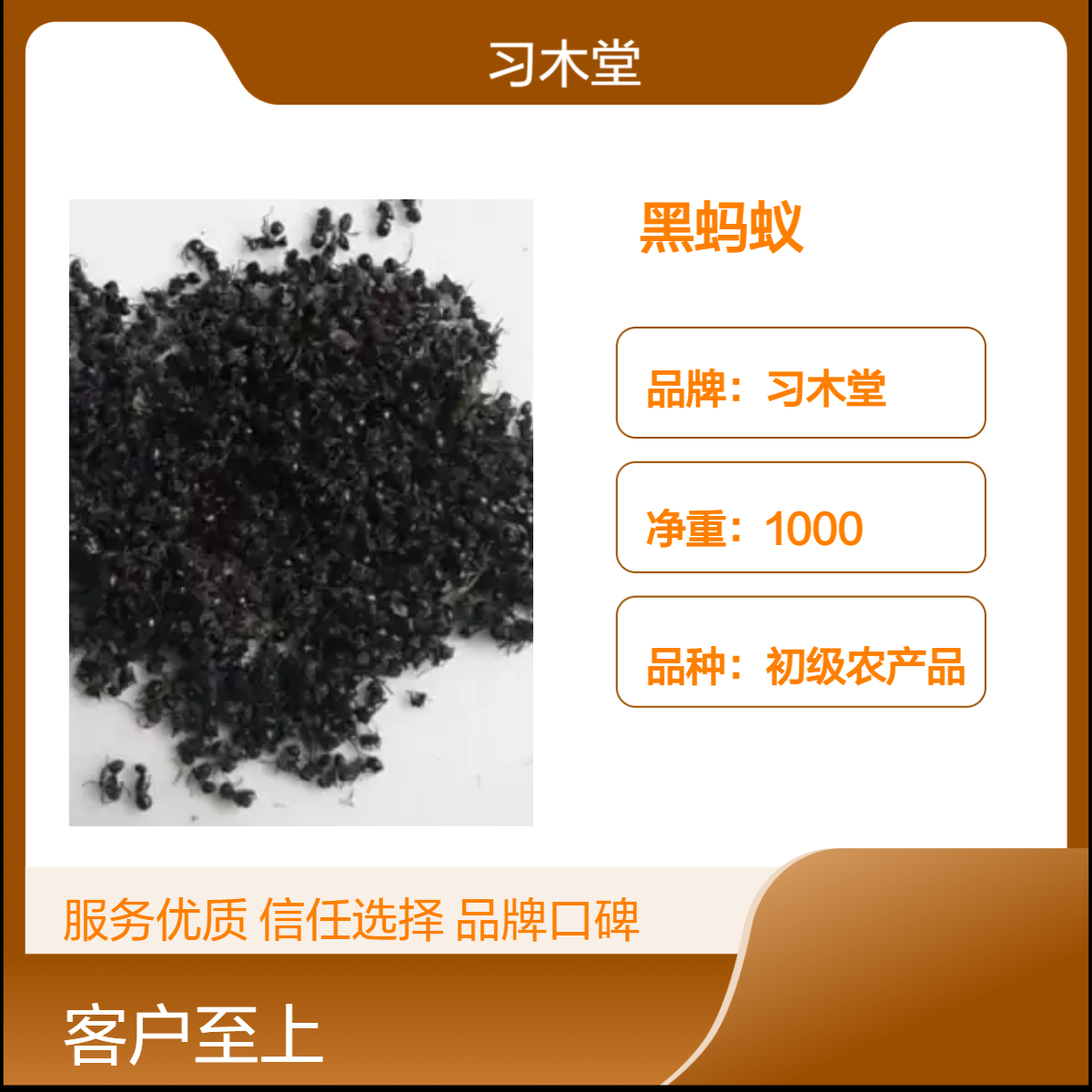 批发中药材 蚂蚁 无硫 新货 自然晒干 各种规格 品质好