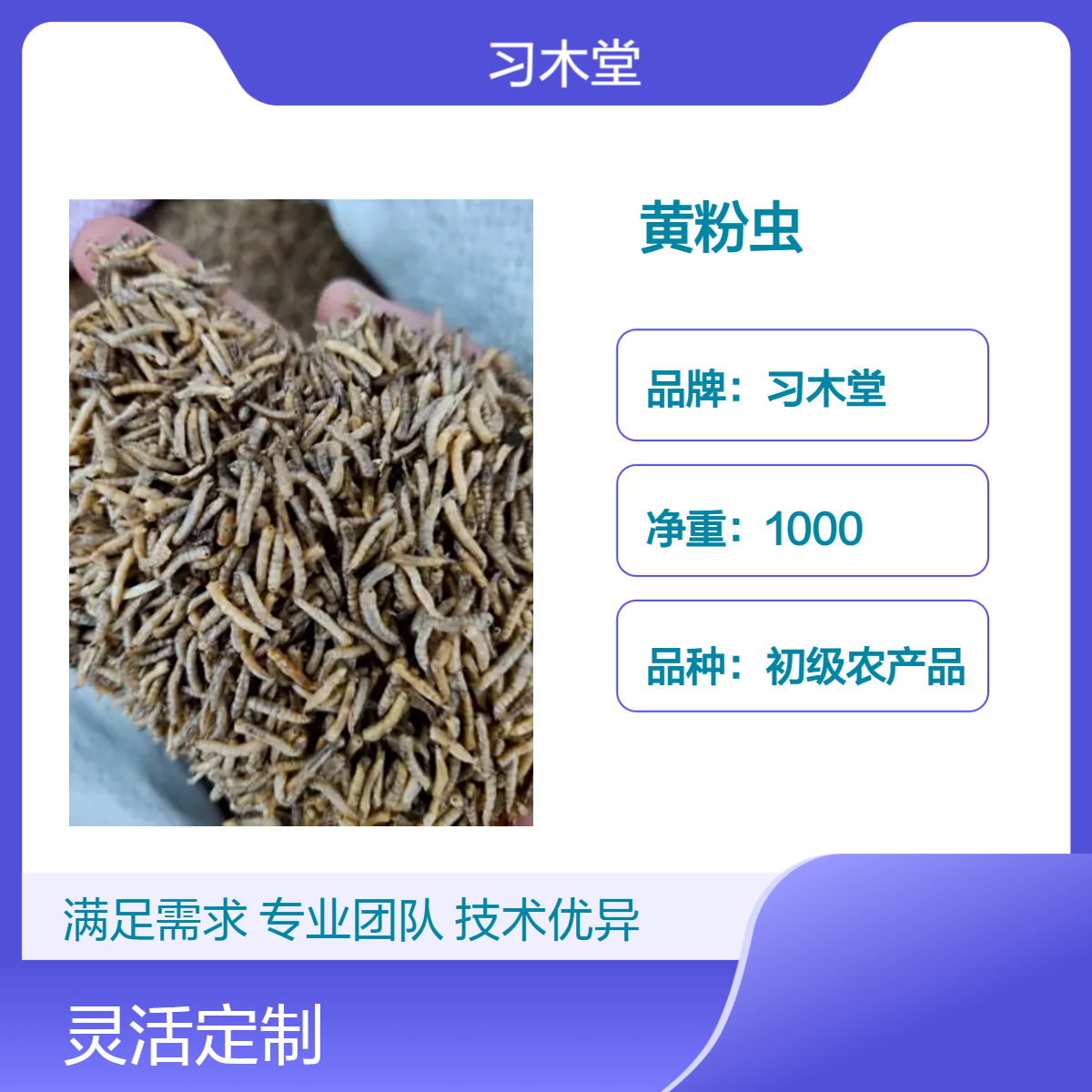 黄粉虫 面包虫 当年新货 无硫 烘干品质 保质保量