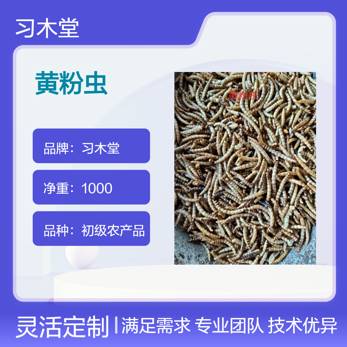 批发 黄粉虫 五谷虫 新货 自然晒干 无硫 精选 各种规格