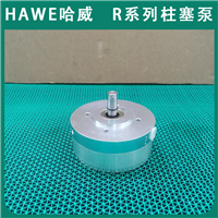代理HAWE经销代理液压泵R系列哈威R0.46柱塞泵