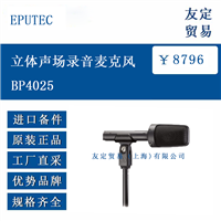 EPUTEC BP4025 立体声场录音麦克风