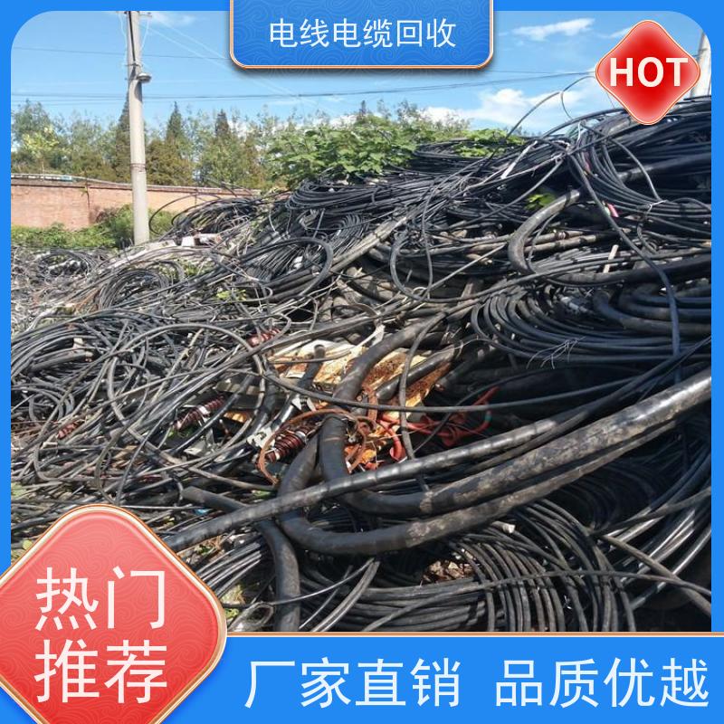 B1级阻燃耐火电缆 高压铜缆 铝缆回收 免费评估 光伏线新能源