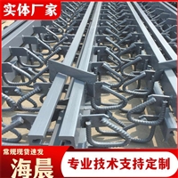 公路桥梁伸缩缝 GQF-C型伸缩缝、GQF-Z型桥梁建材变形缝 海晨