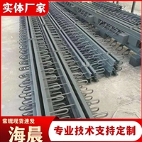 旧桥改造变形缝装置 异型钢式桥梁伸缩缝 抗震性好 海晨