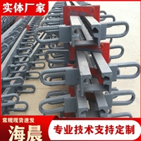 浅埋式伸缩装置 D40型伸缩缝 模数式变形缝装置 海晨