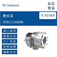 Brinkmann STH1113A500 潜水泵
