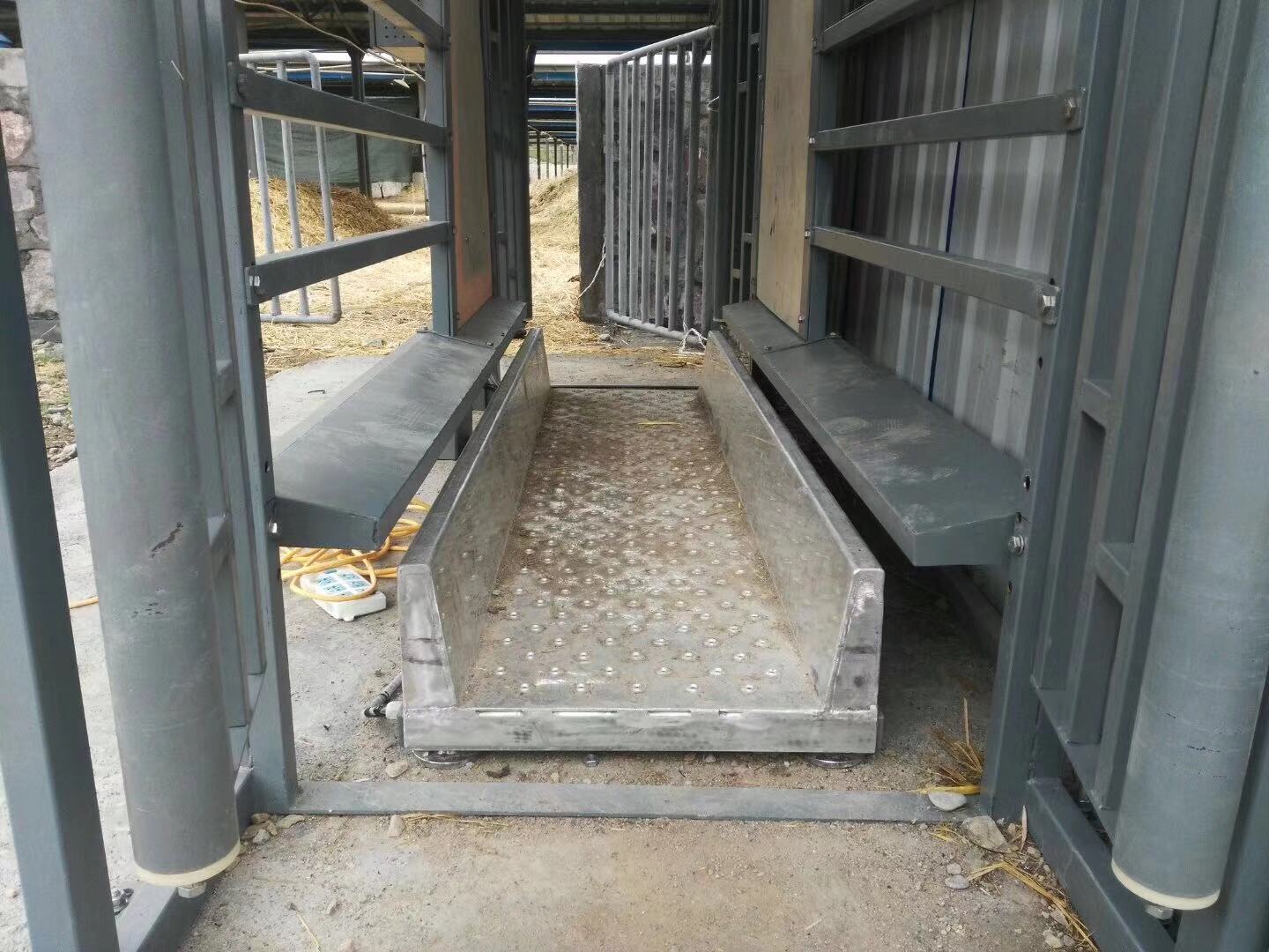 无人值守 电子地磅称 称重器 汽车衡称重系统 多规格 多尺寸