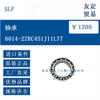 SLF 6014-2ZRC4S1T11L77 轴承
