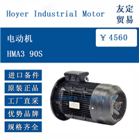 Hoyer Industrial Motor HMA3 90S 电动机