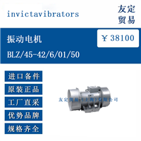 invictavibrators BLZ/45-42/6/01/50 振动电机