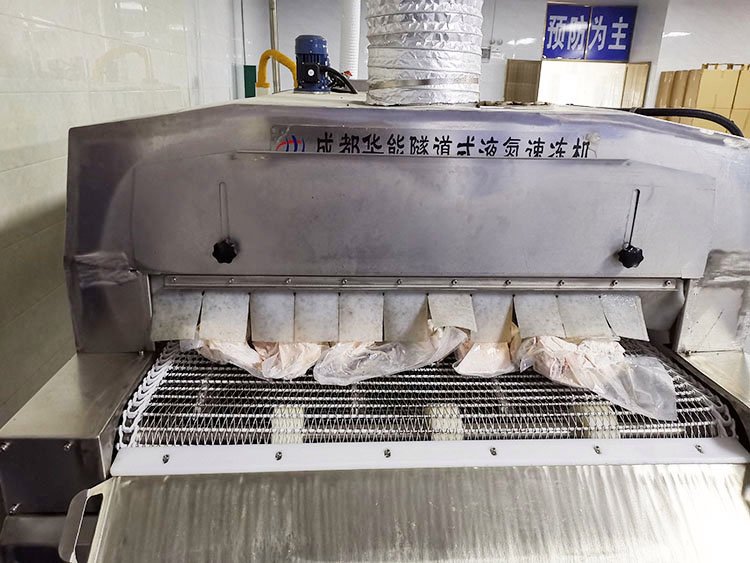 速冻肉丸低温隧道机 极速冷冻 质优价惠 售后无忧 华能值得信赖