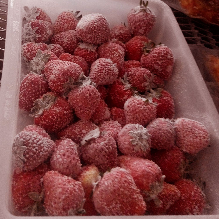 单螺旋速冻机 海鲜液氮速冻设备 牛肉鸡排速冻全自动流水线 华能低温