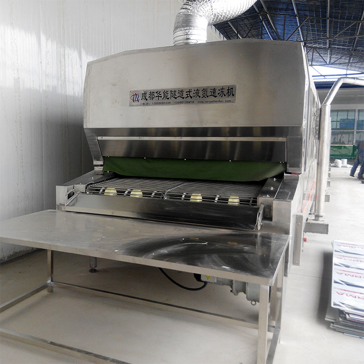 肉类鱼类隧道式液氮速冻机 豆腐冷冻单冻机 SDS-8/1200 华能低温