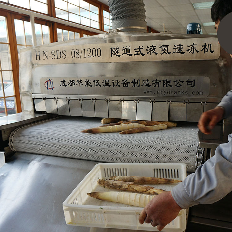 预制菜加工生产线 豆制品隧道式液氮速冻机 HN-SDS-8 华能低温