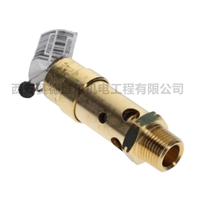 0830100839阿特拉斯空压机配件安全阀