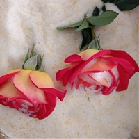 鲜花干燥剂玫瑰花干花制作0.2-0.7mm硅胶颗粒