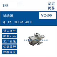 TEE QS FA 100L4A-40 H 制动器