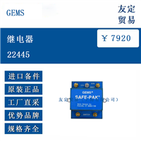 GEMS 22445 继电器