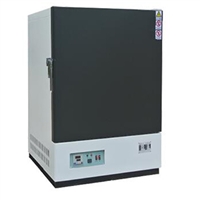 电热鼓风恒温干燥箱 型号:WT210-GM/101-3E