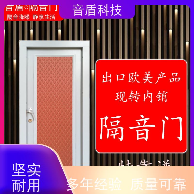 甘肃省 音盾 电影院防火隔音门 品质保证 厂家批发