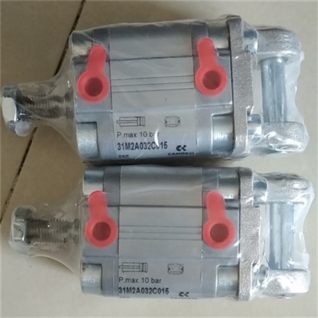 24N2A20A100 CAMOZZI串联型气缸